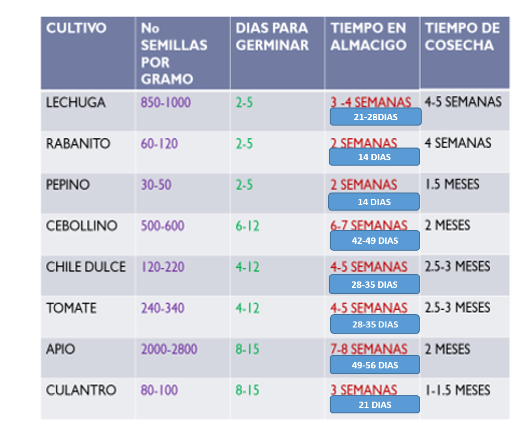 CUADRO MODIFICADO