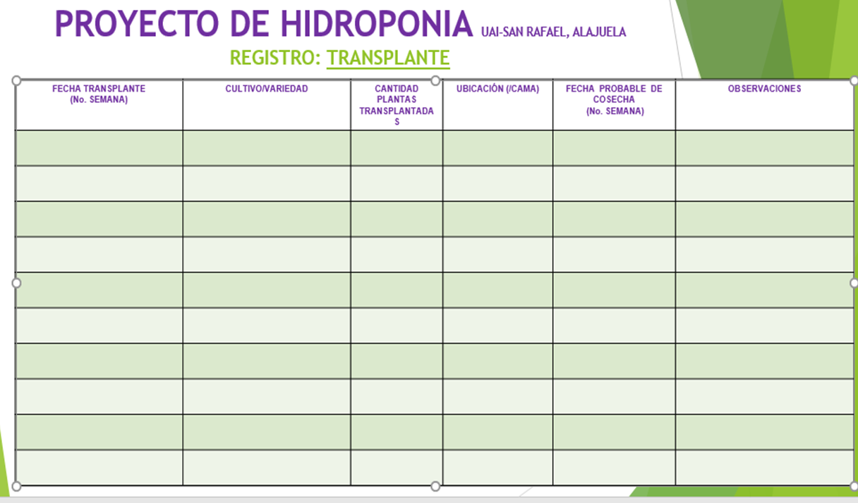 REGISTRO 4