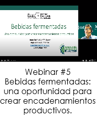 Webinar 5