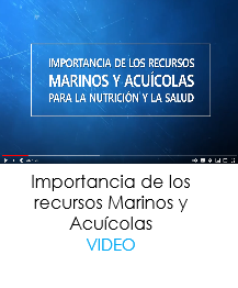 Importancia de los recursos marinos