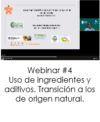 Webinar 4