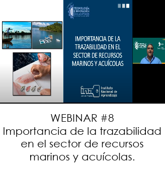 Webinar 8