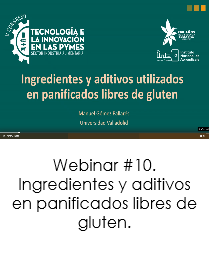 Webinar 10