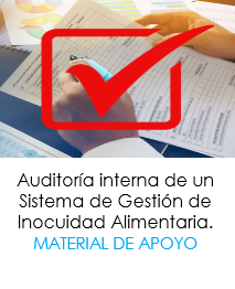 Auditoría interna