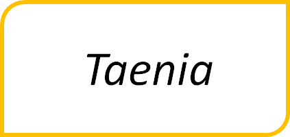 Taenia