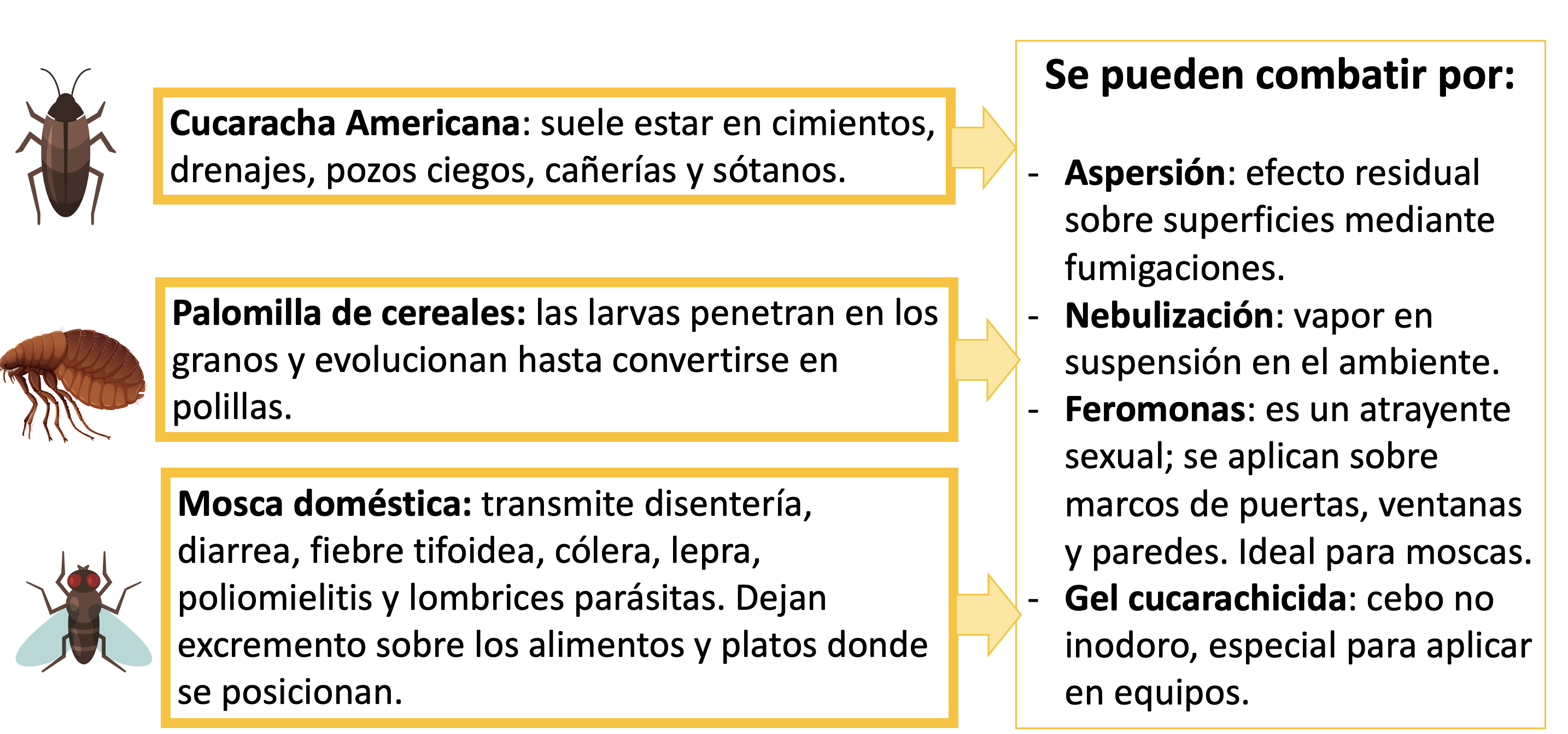 Cucaracha Americana: Suele estar en cimientos, drenajes pozos ciegos, cañerías y sótanos. Palomilla de cereales: las larvas penetran en los granos y evolucionan hasta convertirse en polillas. Mosca doméstica: trasmite disentería, diarrea, fiebre tifoidea, cólera, lepra, poliomelitis y lombrices parásitas. Dejan excremento sobre los alimentos y platos donde se posicionan. Se pueden combatir por:  Aspersión: efecto residual sobre superficies mediante fumigaciones. Nebulización: vapor en suspensión el ambiente.  Feromonas: es un atrayente sexual  se aplican sobre marcos de puertas, ventanas y paredes. Ideal para moscas. Gel cucarachicida: cebo no inodoro, especial para aplicar en equipos.