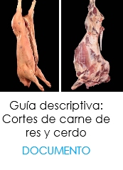 Guia de cortes