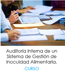 Curso Auditoría