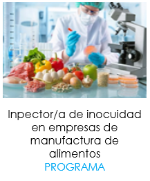 Programa inspector