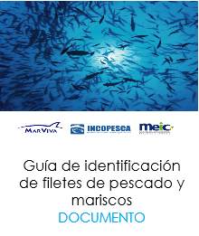 Identificación de filetes y mariscos
