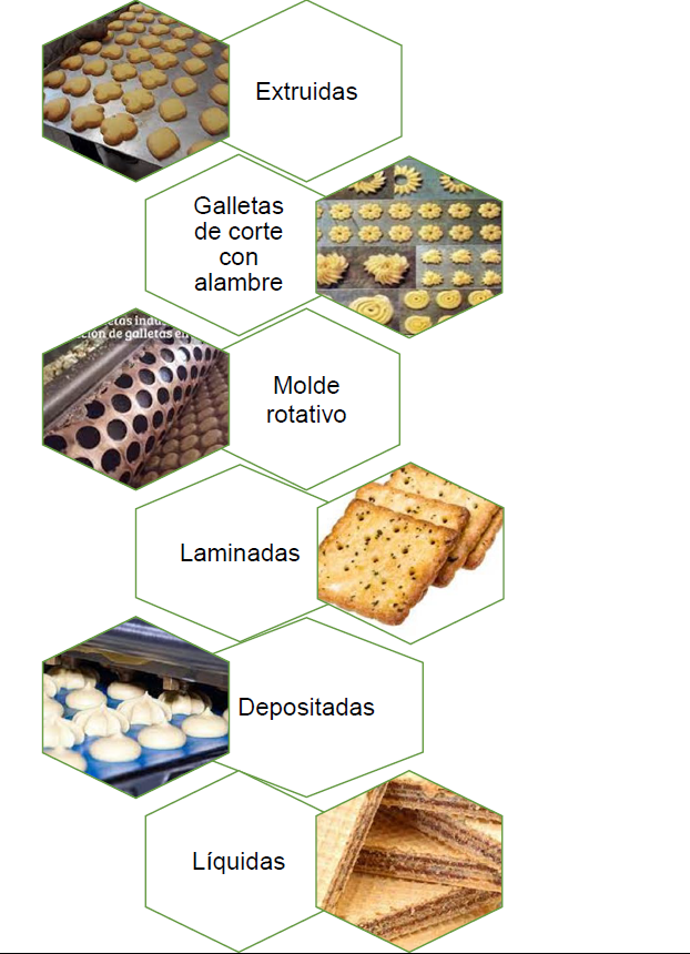 Las galletas pueden ser: extruídas, cortadas con alambre, cortadas con moldes rotativos, laminadas, depositadas o líquidas.
